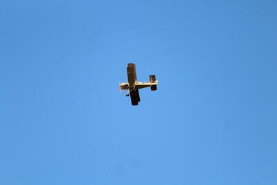 IMG 1549